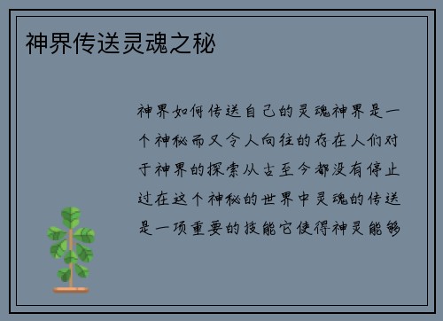 神界传送灵魂之秘